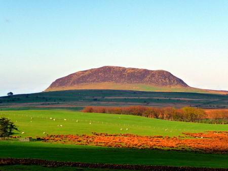 大事难事看担当，小事琐事看修养