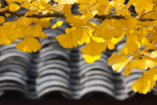 逃离复杂，奔向简单的人生