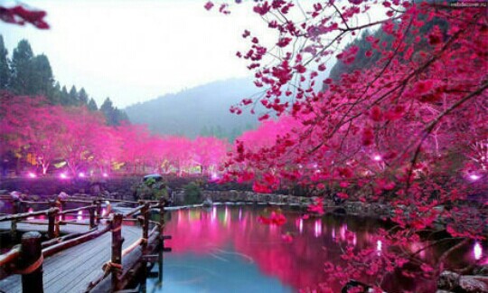 王阳明的五大处世之道