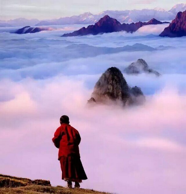 现代人为何活得这么累