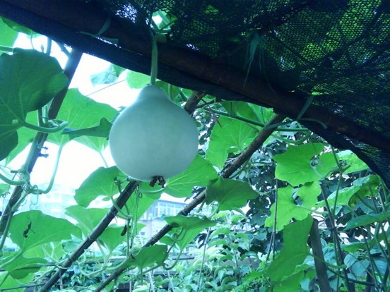 人生不能太忙，要有静下来学习智慧的时间