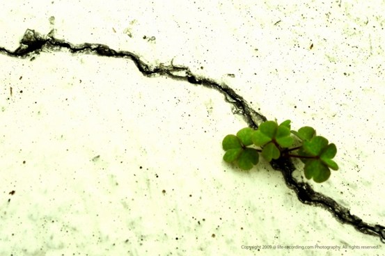 外在的困难是历练成长的助缘