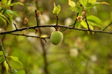 以「五心」面对缘起的危机