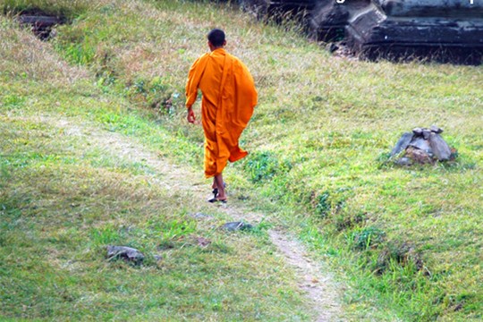 出世与入世相结合