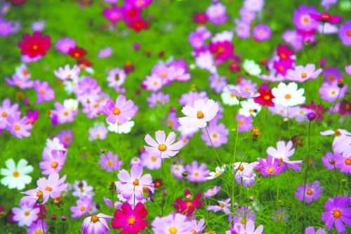 找对自己的生存方向