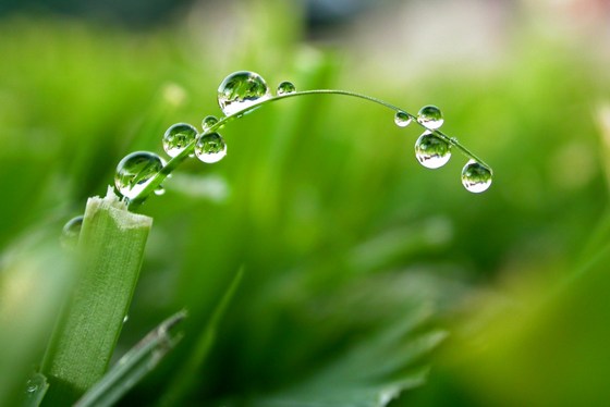 守此四法，结局通达