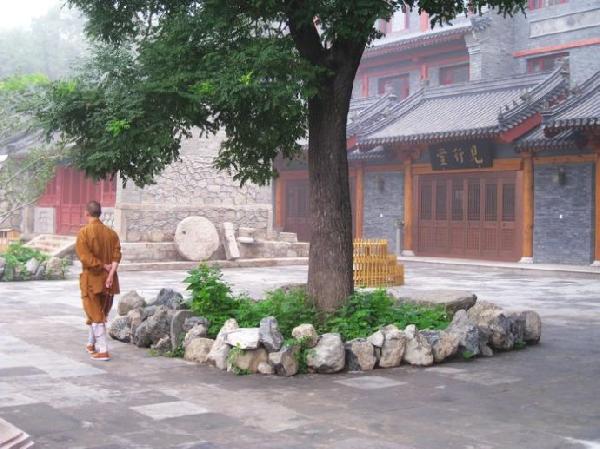 生命到底需要什么，到底需要多少