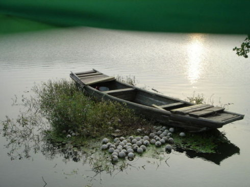 杨绛的百岁感言