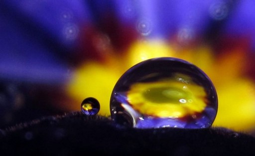 一切都是自己的心招感来的