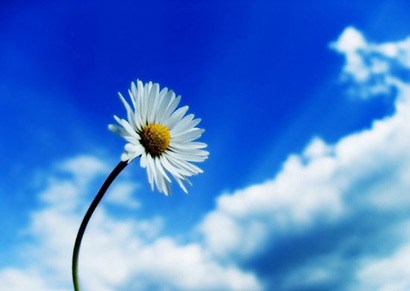 善于调整心态，是人生最大的财富