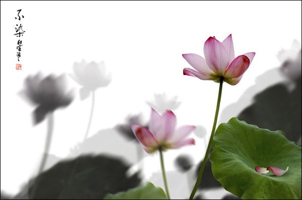 一个人有没有前途，就看他少年时期