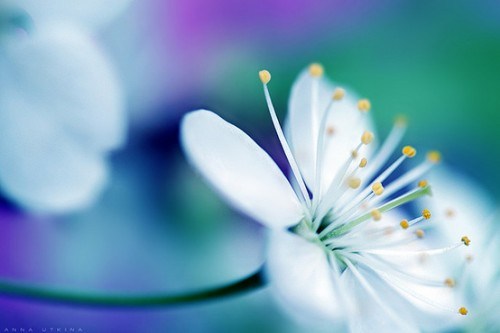 微笑地面对人生中痛苦和考验