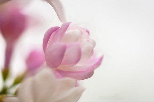 放下不放弃，随缘不随便