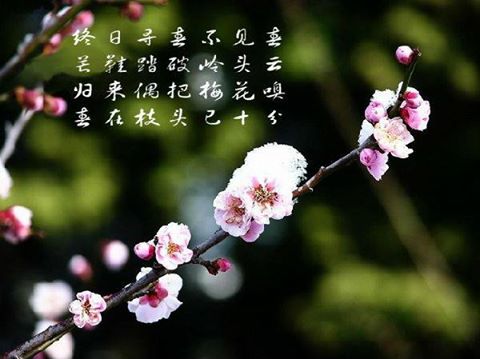 光阴不虚度、精神不浪用