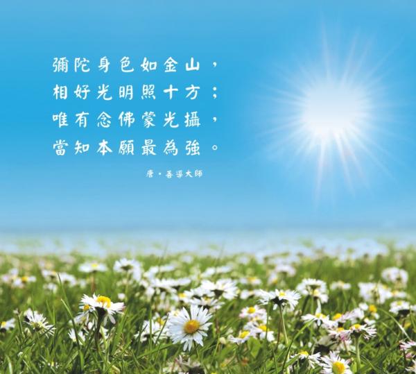 对「空」的误解