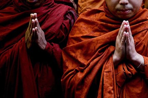 学会接受和面对痛苦