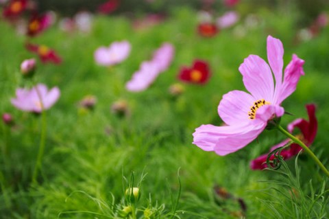 你计较，烦恼也是你自己的