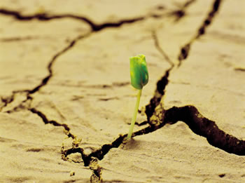 弯腰拾起的尊严