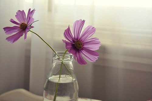 人生许多东西都是暂时的