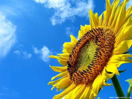 人的一生都听了些什么声音呢