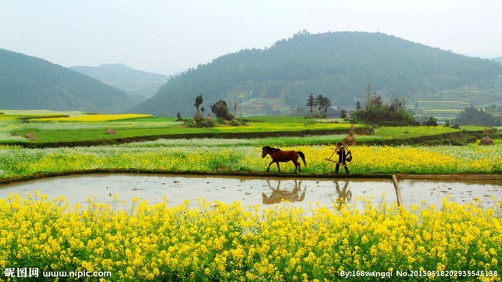 快乐健康常伴，穷一点又何妨
