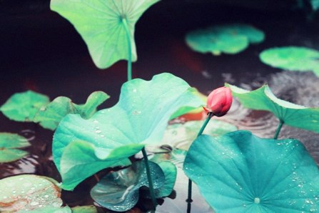 舍却贪爱，戒除贪欲