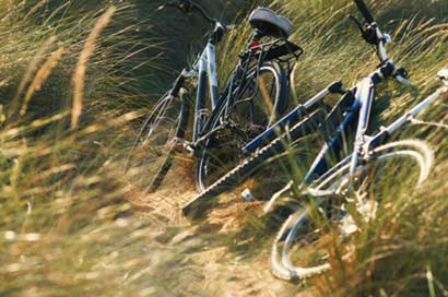 从自行车的故事看人生情态