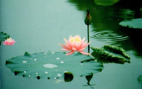 寿康宝鉴劝戒十则