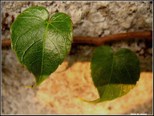 资源有限而欲望无穷