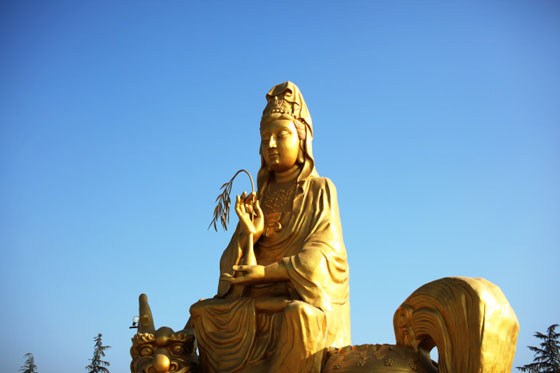 将欲望转化为修行的助缘