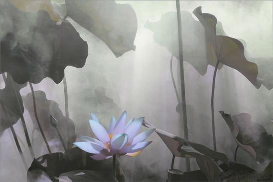 如何理解对财神的供养和礼拜