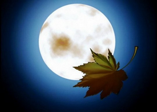 警惕恶行损耗我们的福德资粮