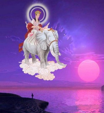 拥有财富的同时，不执著于财富