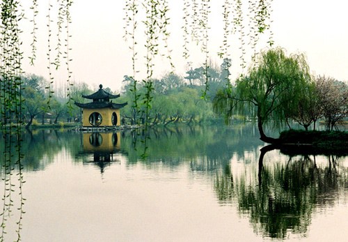 居士无病，您的妙药还您