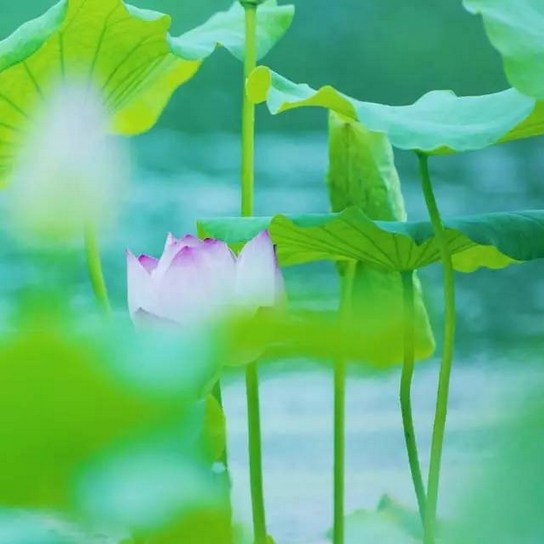 老中医所遇的因果业报