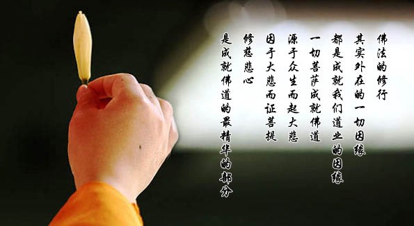 良心是上帝的眼——写给所有黑心医生的信