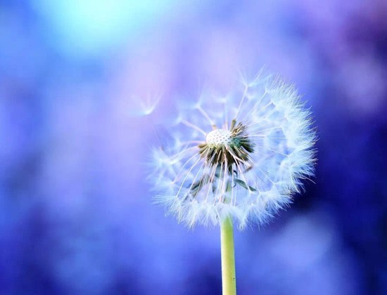 生病不是一种痛苦，而是一种快乐