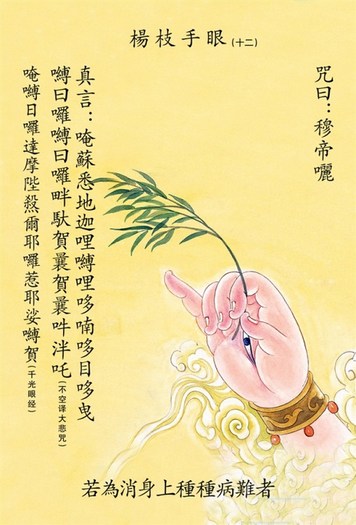 用大悲水治愈重症糖尿病