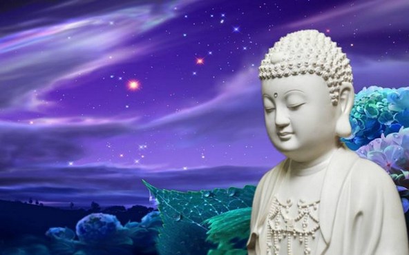 为何每天勤修却进步不大