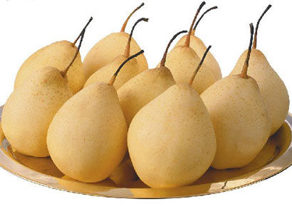 秋季的8种养生食物