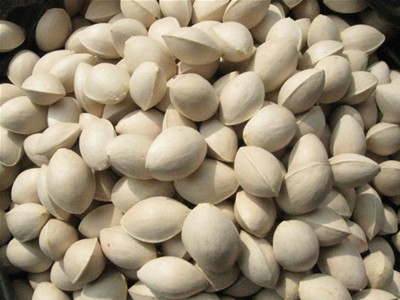 夏季五种补肾最佳食物