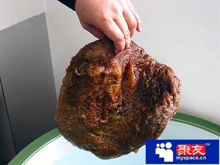 素食已成了世界的流行趋势