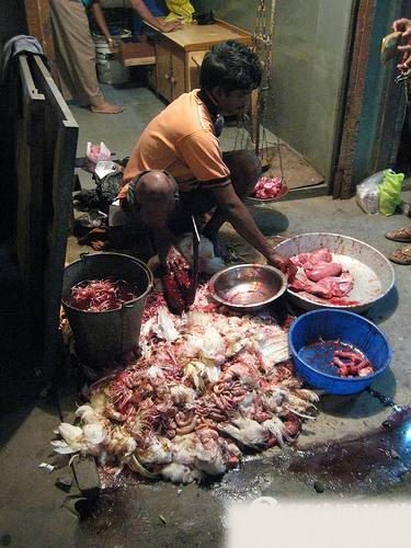 肉类的真实气味