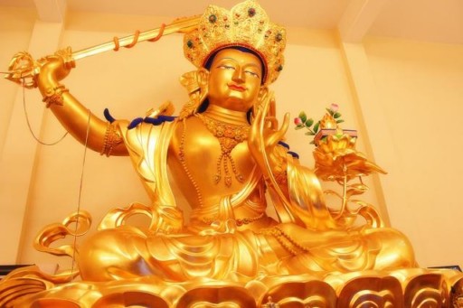 人类都吃素，生态食物链是否会被扰乱