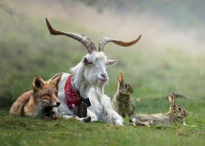 心向素时即已放下屠刀