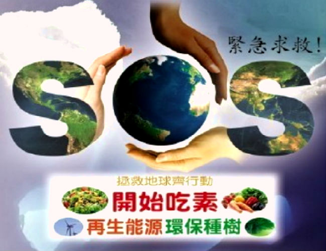 素食是冷却地球的最佳选择