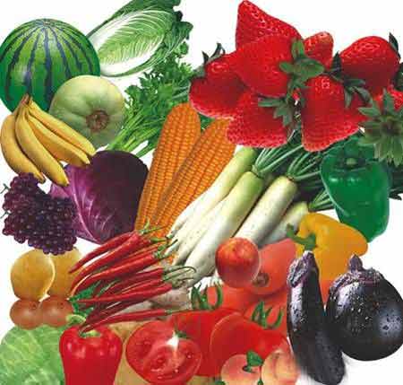 吃素改变对生命和世界的态度