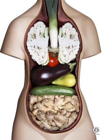 素食者是奇怪之人还是聪明之人