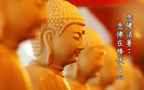 念佛怎样摄住意根