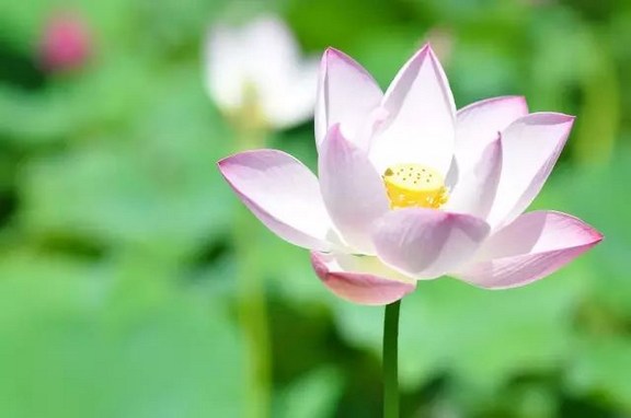 如何将念佛法门渗透到睡眠里